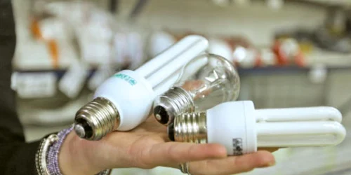 Becurile sunt primele produse ecologice a căror achiziţie devine obligatorie din acest an