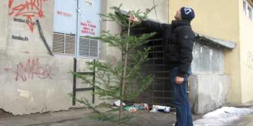 1.000 de lei este amenda pentru cei care aruncă la întâmplare pomii de Crăciun