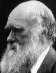 Darwin a avut dreptate: viaţa a apărut într o baltă caldă jpeg
