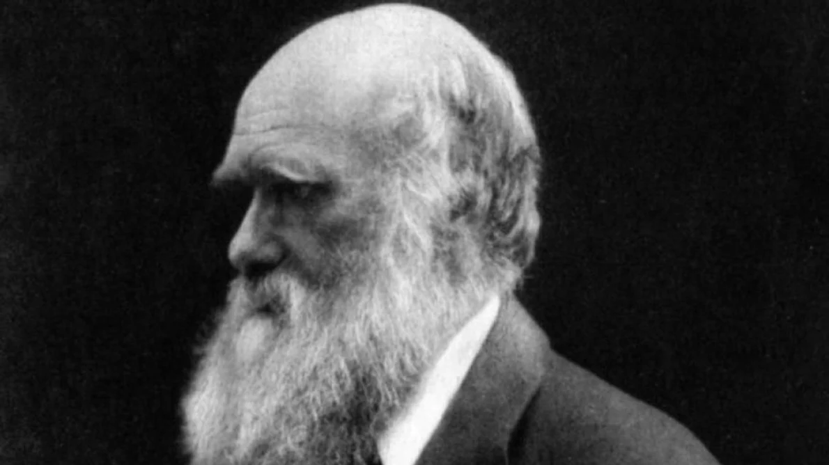 Darwin a avut dreptate: viaţa a apărut într o baltă caldă jpeg