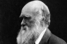 Darwin a avut dreptate: viaţa a apărut într o baltă caldă jpeg
