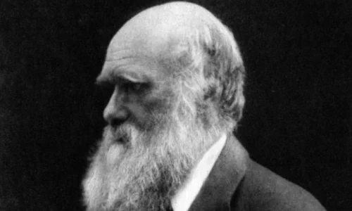 Darwin a avut dreptate: viaţa a apărut într o baltă caldă jpeg