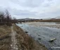 Râul Strei Foto Daniel Guță ADEVĂRUL (4) jpg
