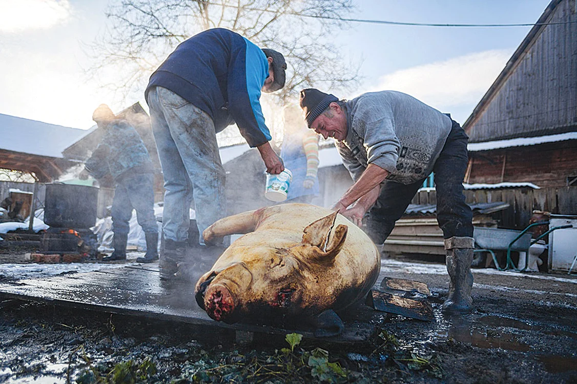 Cât costă de fapt un kilogram de porc după tăiere