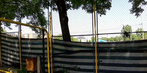 5d1a350e892c0bb0c602305a jpg