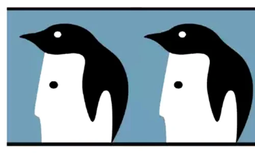 101277741 jpg ceea ce vezi webp