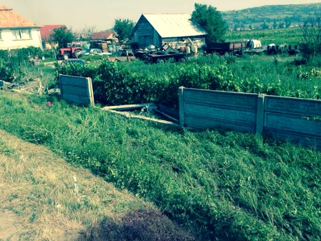 accident bobota