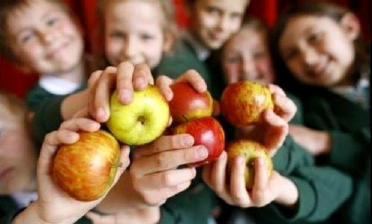 
    Din toamnă, elevii vor primi gratuit fructe, legume și produse de panificație și lactateFoto: Ministerul Agriculturii  
