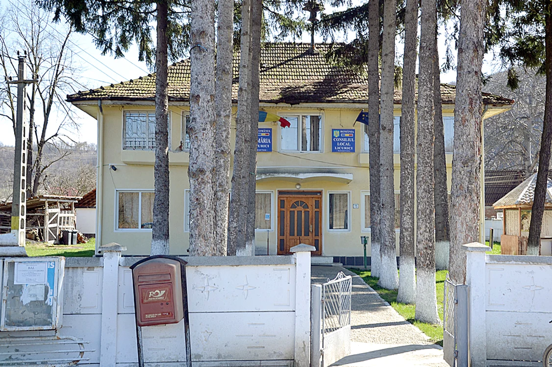 Primaria Licurici