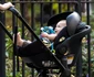 Exclusive Anne Hathaway Takes Her Baby Boy To A Playground In NYC ***NO USE W/O PRIOR AGREEMENT CALL FOR PRICING*** jpeg