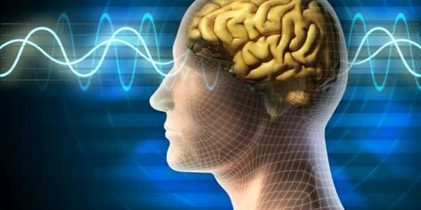 Activitatea electrică a persoanelor cu epilepsie va putea fi monitorizată cu ajutorul electrozilor intracerebrali