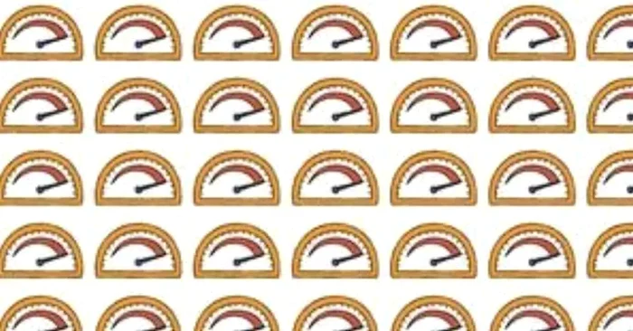 Găsește vitezometrul diferit în mai puțin de 10 secunde. Foto: arhiva.