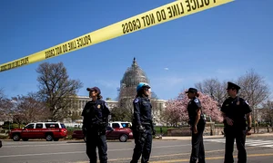 impuscaturi sua jpeg