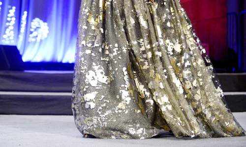 Congressional Black Caucus Foundation Legislative Conference   Washington jpeg