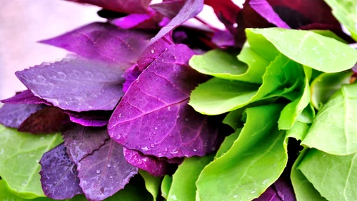 1 85506 original jpg jpeg