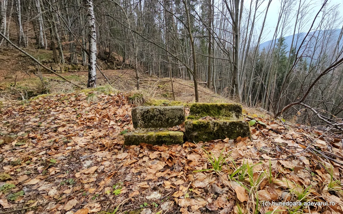 Cetatea dacică Fețele Albe  Foto Daniel Guță  ADEVĂRUL (76) jpg