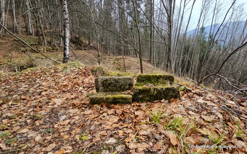 Cetatea dacică Fețele Albe  Foto Daniel Guță  ADEVĂRUL (76) jpg