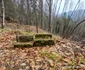Cetatea dacică Fețele Albe  Foto Daniel Guță  ADEVĂRUL (76) jpg