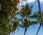 Andreia și Ion, doi influenceri români plecați în Hawaii. Foto: Instagram