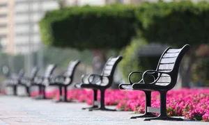 bench 5017748 1280 jpg