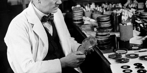 Omul de stiinta scotian Alexander Fleming descopera penicilina in toamna lui 1928 FOTO Guliver/ Getty Images