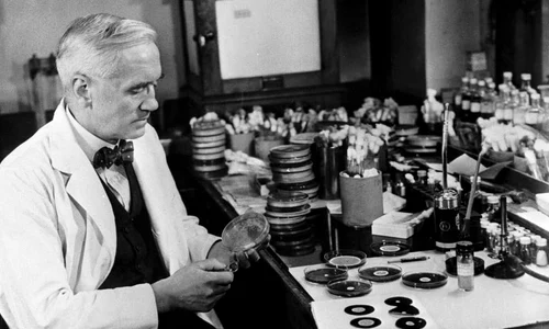 Omul de stiinta scotian Alexander Fleming descopera penicilina in toamna lui 1928 FOTO Guliver/ Getty Images