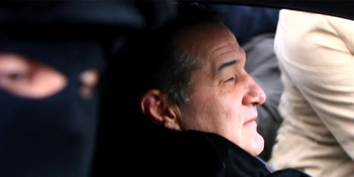 gigi becali FOTO adevarul