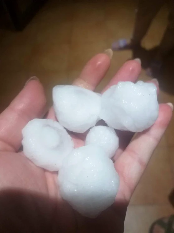 Furtună puternică în Timiş FOTO Facebook/Severe Weather Alert România