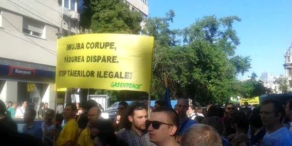 proteste universitate defrisari vlad epurescu