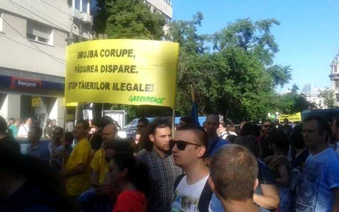 proteste universitate defrisari vlad epurescu