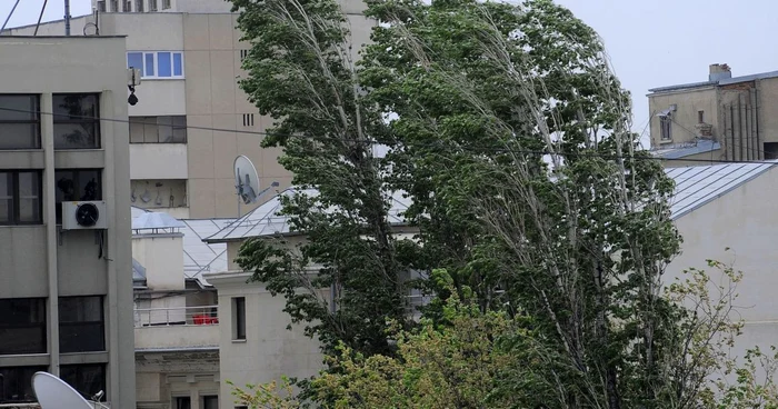 Cod galben de vânt pentru Moldova, estul Munteniei, Dobrogea şi unele zone de munte FOTO: Mediafax