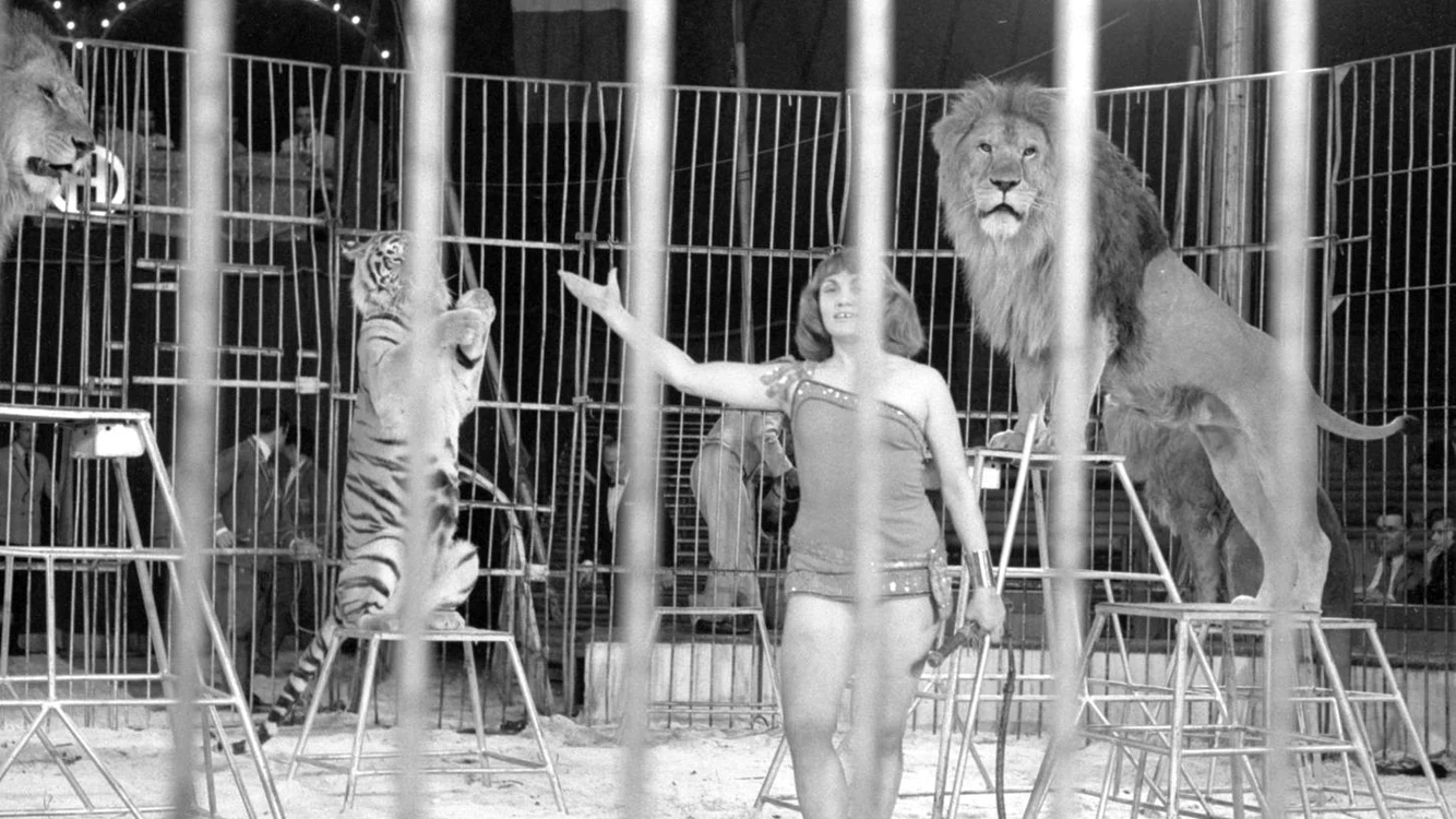 Lidia Jiga în arenă cu Ruslan și Amur FOTO Nurnberger Nachrichten