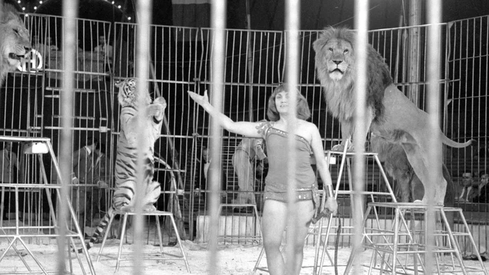 Lidia Jiga în arenă cu Ruslan și Amur FOTO Nurnberger Nachrichten