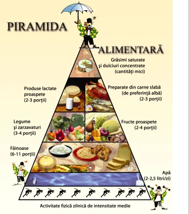 Piramida alimentară Foto: Societatea de Nutriție din România