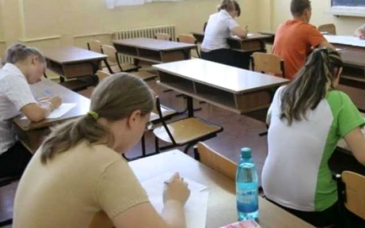 Doi elevi au fost eliminaţi din examen