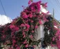 7 buzdu in vacanta creta jpg jpeg