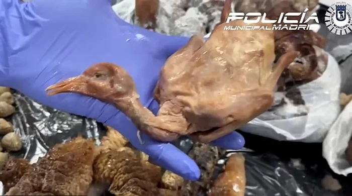 Un restaurant chinezesc a fost închis: porumbei morți erau serviți drept „rață la cuptor”