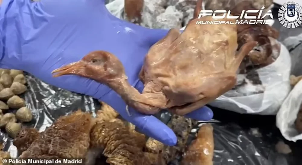 Un restaurant chinezesc a fost închis: porumbei morți erau serviți drept „rață la cuptor”