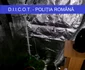droguri