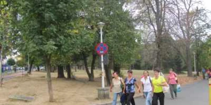 Parcul Sub Arini este preferatul sibienilor pentru recreere şi plimbare în aer liber