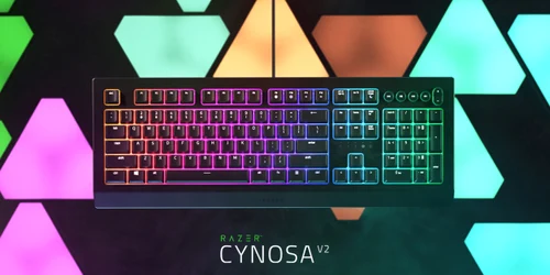 Razer Cynosa V2