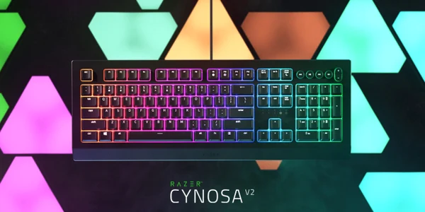 Razer Cynosa V2