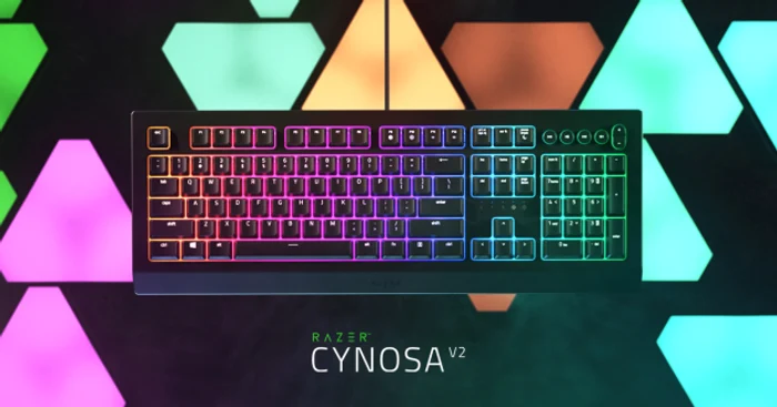 Razer Cynosa V2