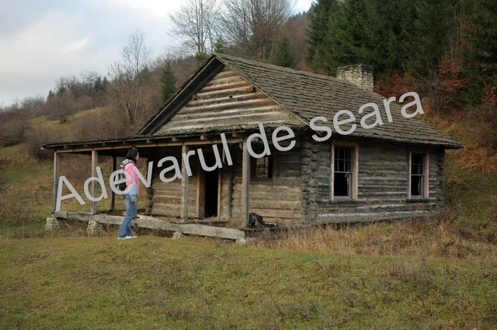 Cabana din lemn a ajuns o ruină. Foto: Bogdan Crăciun