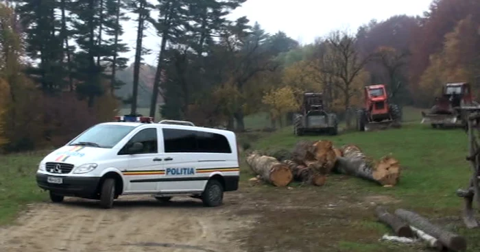 descinderi lemne. foto ipj suceava