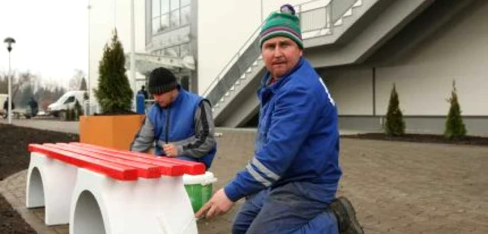 Muncitorii au fost mobilizaţi pentru vopsitul băncilor Foto: Stelian Grăjdan