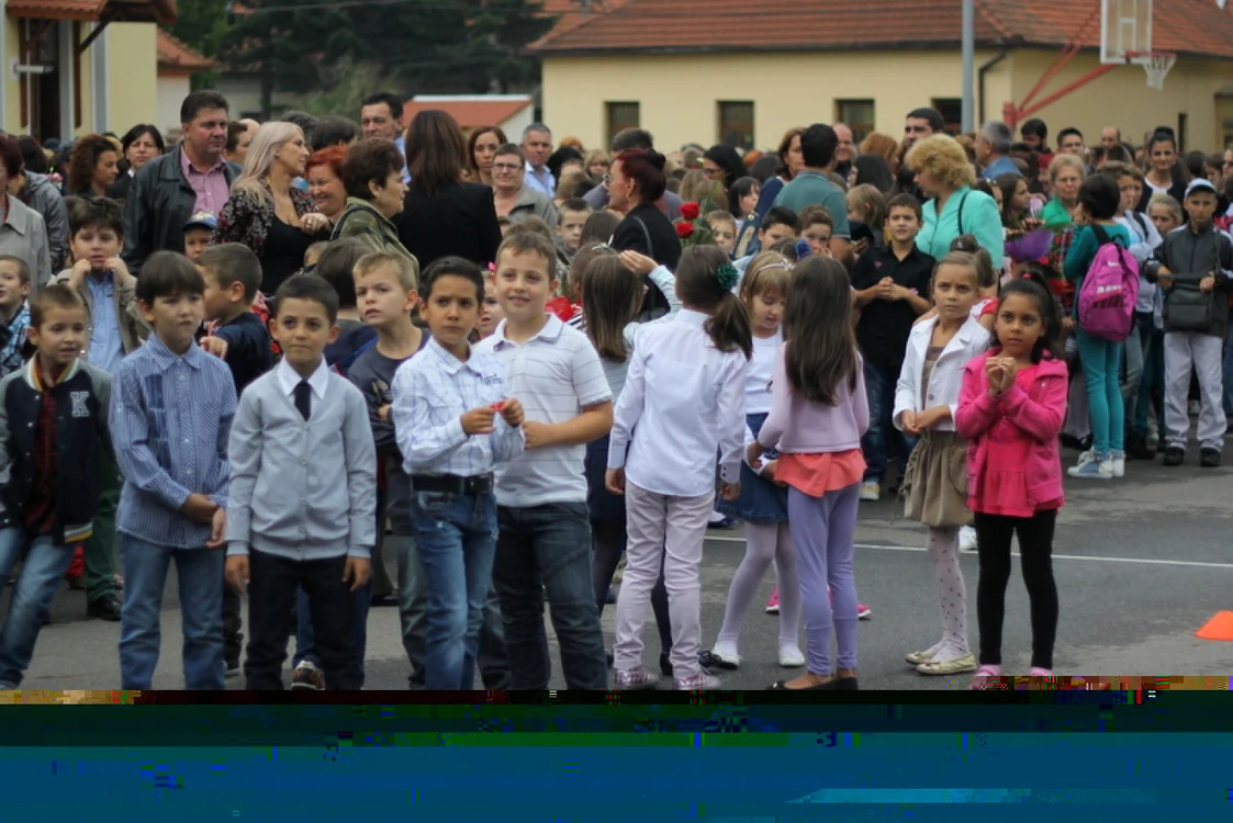 anul scolar hunedoara decebal