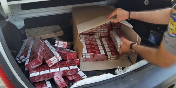 tigari confiscate mehedinti FOTO STPF Mehedinti
