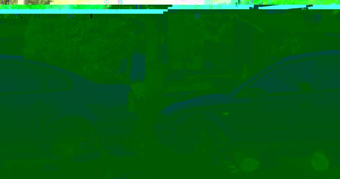 Masina lăsată pe butuci de hoţii din Câineni