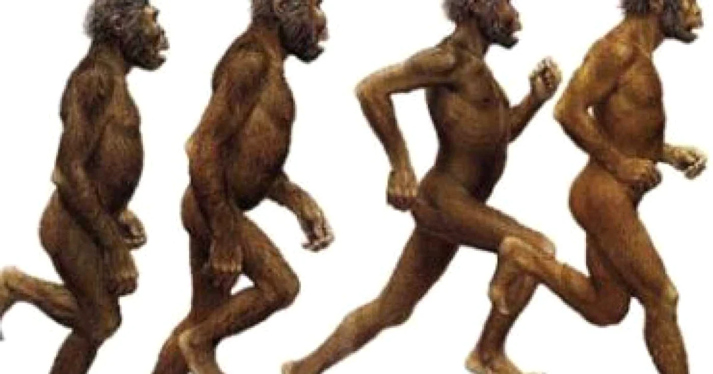 Noi date despre originea şi evoluţia omului modern - studiu